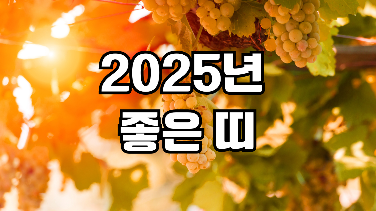 2025년 좋은띠