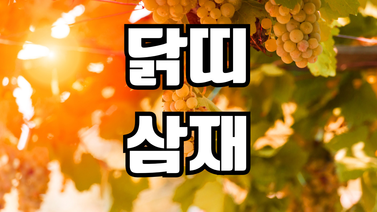 닭띠 삼재