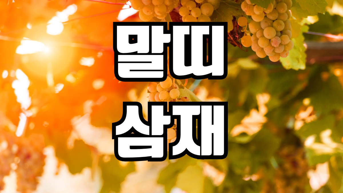 말띠 삼재