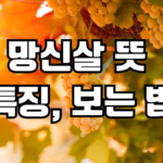 망신살 뜻