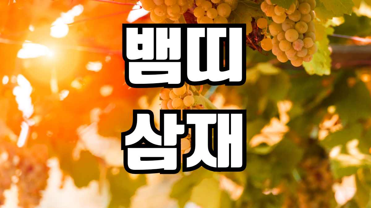 뱀띠 삼재