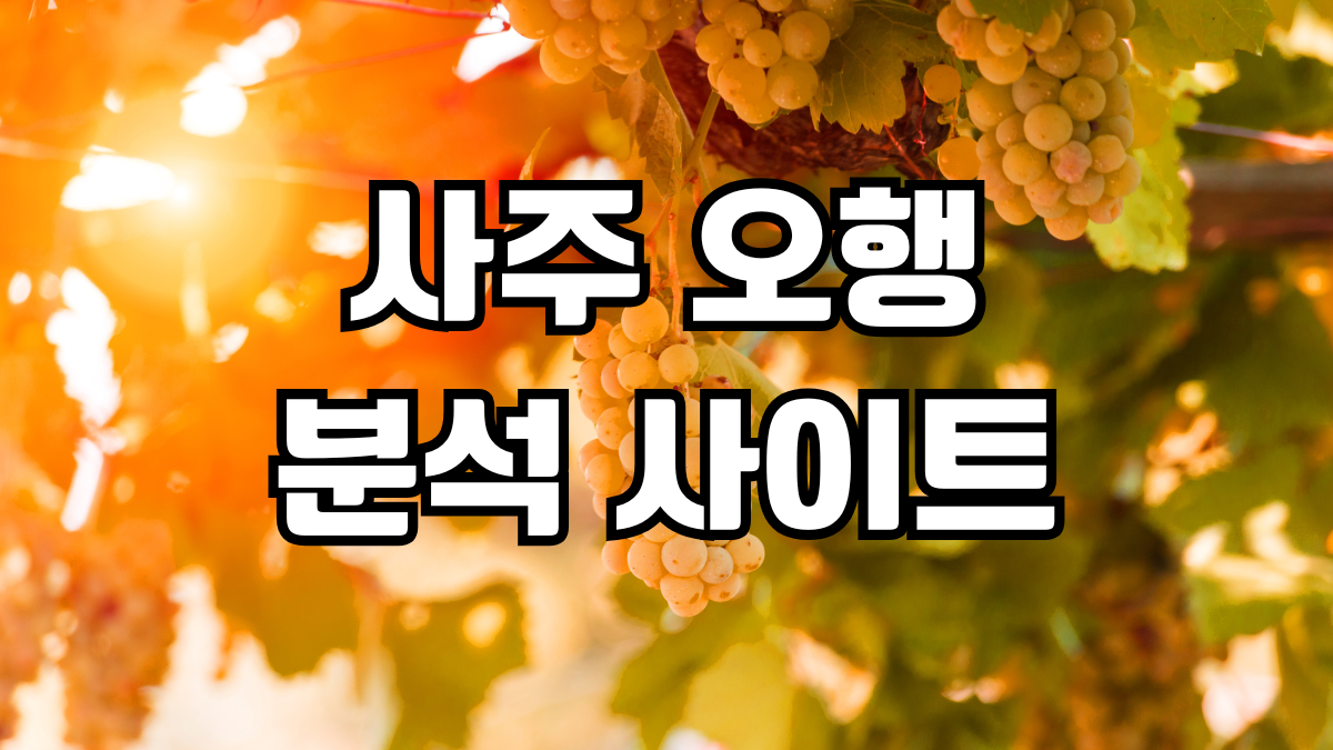 사주 오행 분석 사이트