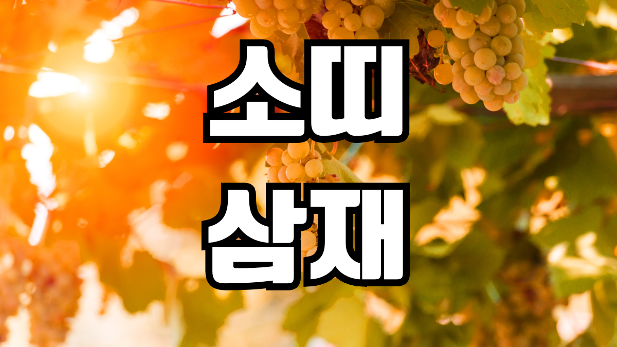 소띠 삼재