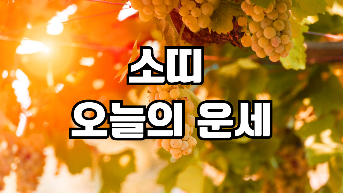 소띠 오늘의 운세