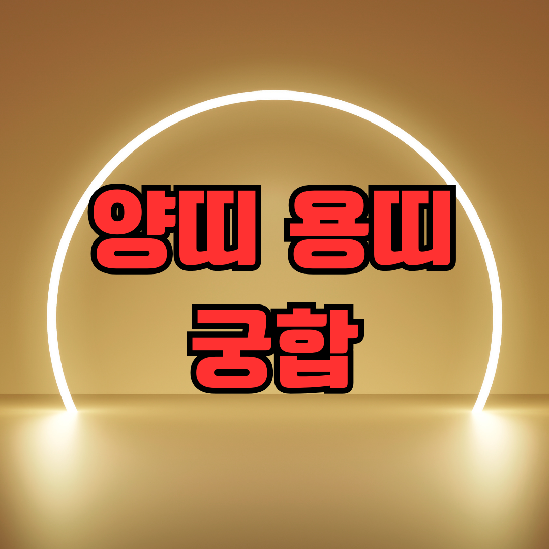 양띠 용띠 궁합