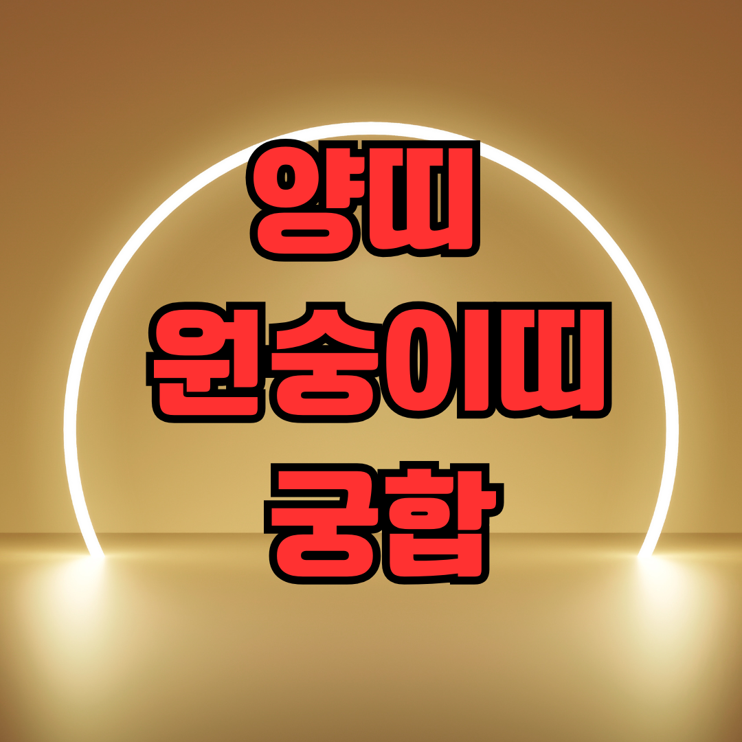 양띠 원숭이띠 궁합