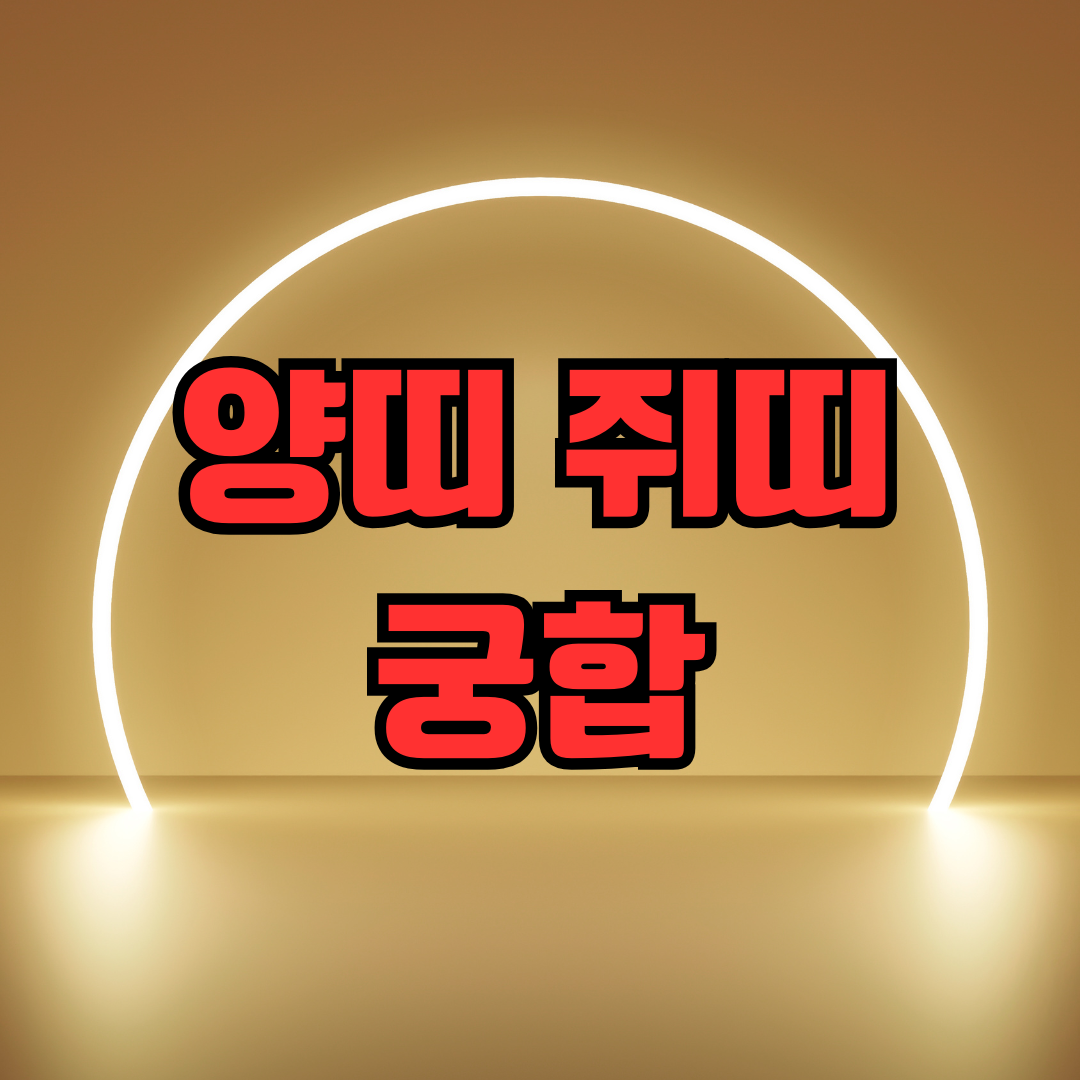 양띠 쥐띠 궁합