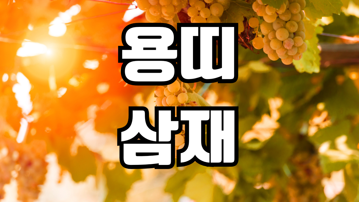 용띠 삼재