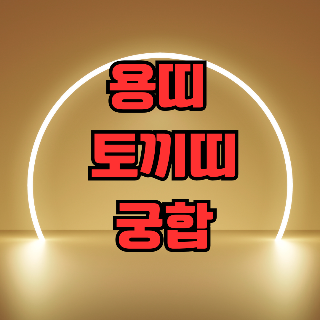 용띠 토끼띠 궁합