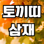 토끼띠 삼재