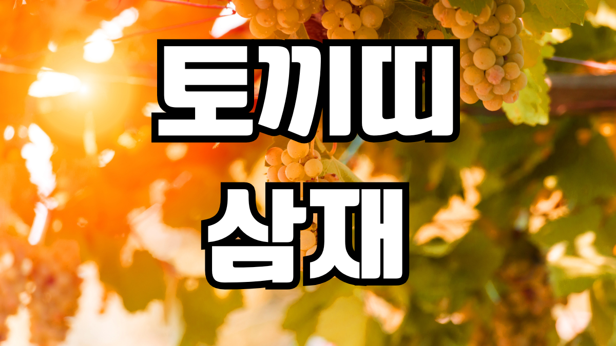 토끼띠 삼재